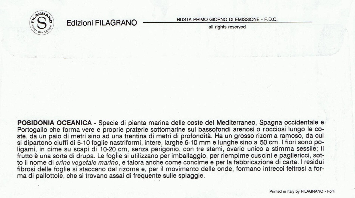busta singola
